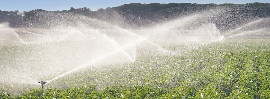 O papel da irrigação na produção de alimentos