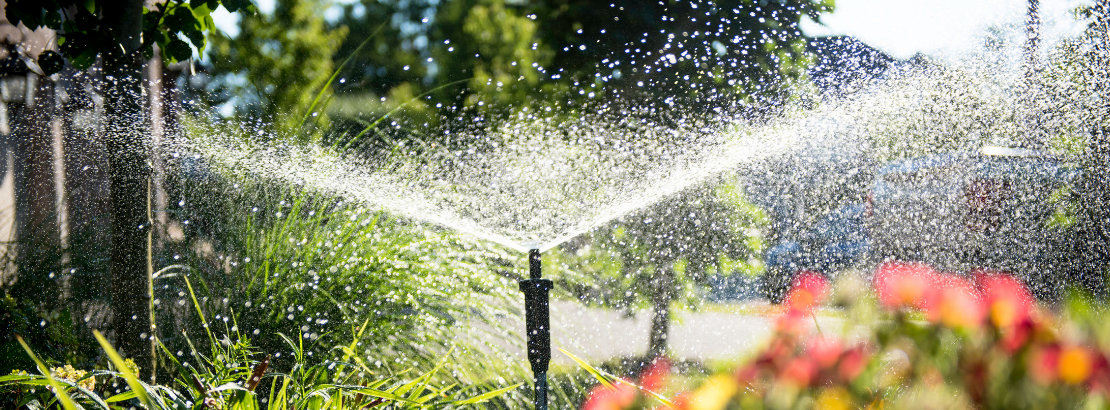 Conheça as vantagens da irrigação automatizada