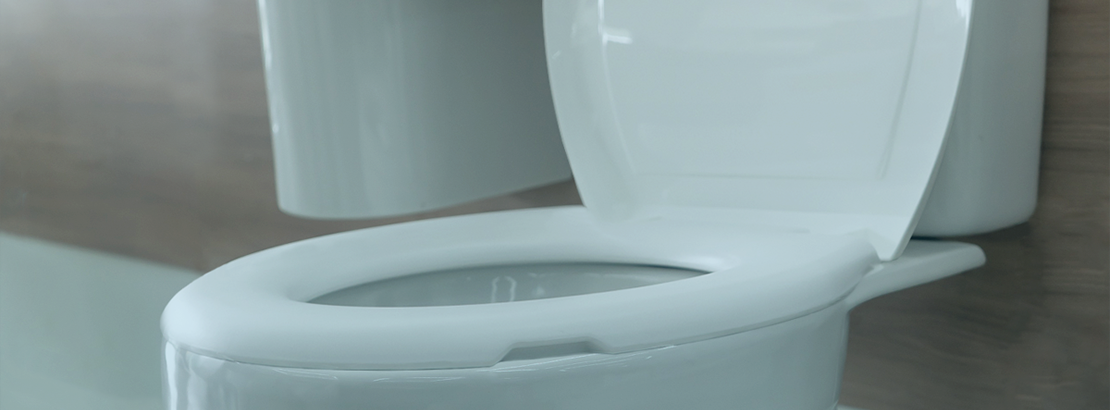 Como escolher o assento sanitário ideal para o seu banheiro